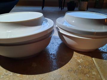 Bewaardozen Tupperware  beschikbaar voor biedingen