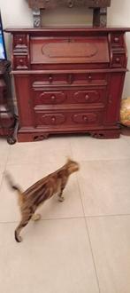 klassieke bureel in nieuw staat, Huis en Inrichting, Ophalen, Nieuw, Klassiek