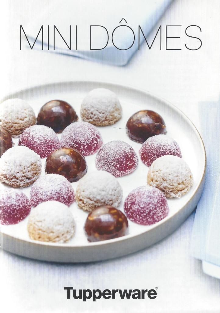 Tupperware™ Livre de Recette « Multiflex - Mini-Dôme », Livres, Livres de cuisine, Neuf, Entrées et Soupes, Plat principal, Tapas, Snacks et Dim Sum