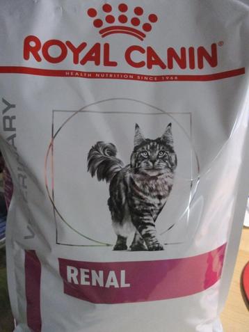 kattenbrokken beschikbaar voor biedingen