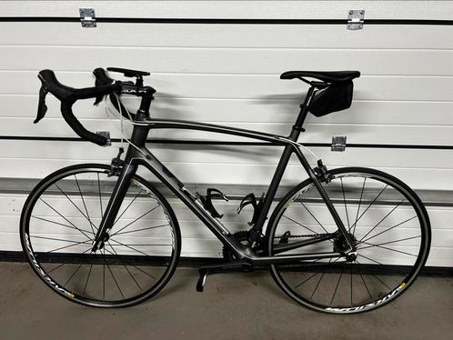 Koga Race sportfiets Solacio XL, Fietsen en Brommers, Fietsen | Racefietsen, Zo goed als nieuw, Carbon, Ophalen