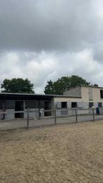 2 stallen vrij! VERHUURD!, Stalling