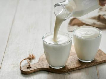 Kefir melkyoghurt, yoghurtbloemetjes, verse kefir beschikbaar voor biedingen