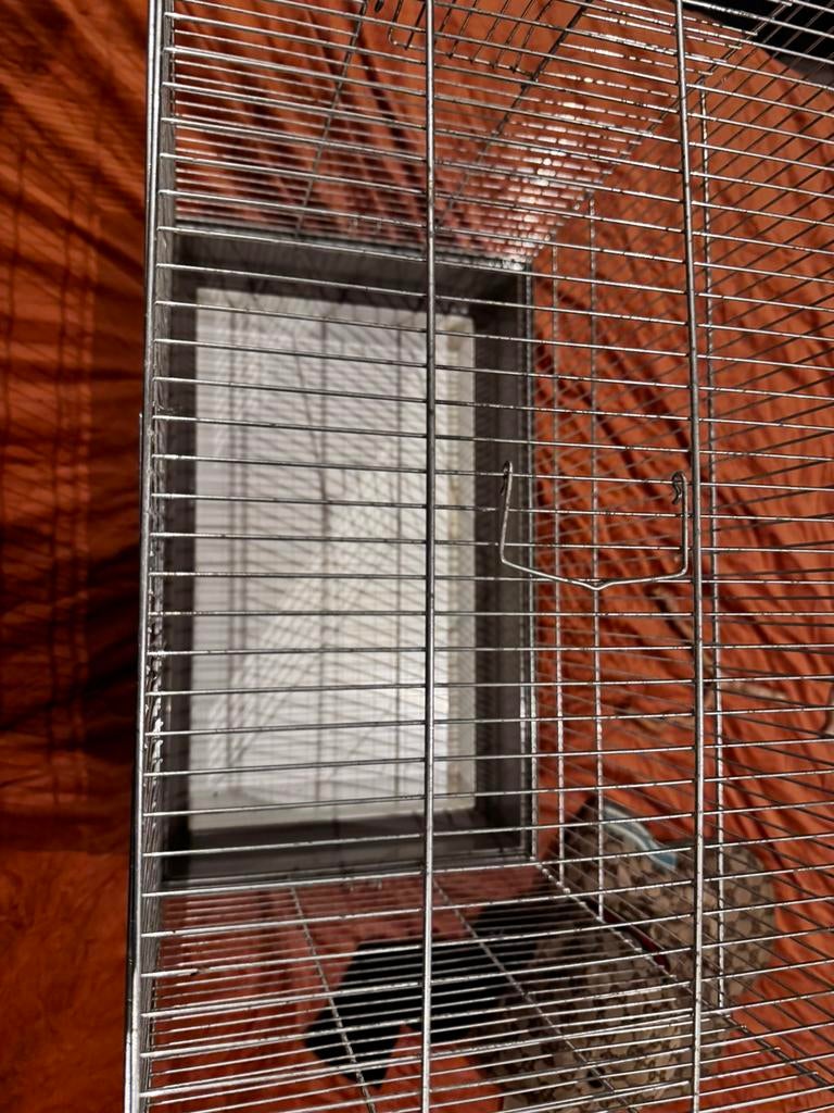 Kooi, Dieren en Toebehoren, Ophalen of Verzenden, Zo goed als nieuw