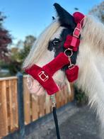 100% bomproof kinderpony, Dieren en Toebehoren, Merrie, C pony (1.27m tot 1.37m), Recreatiepony, 7 tot 10 jaar