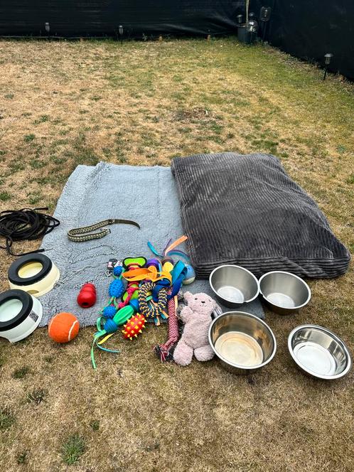 Diverse hondenspullen, Dieren en Toebehoren, Honden-accessoires, Gebruikt, Ophalen
