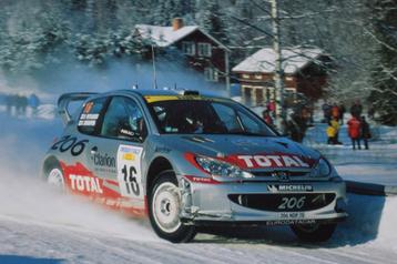 Auto poster 2001 rally WRC Peugeot 206 beschikbaar voor biedingen