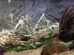 Aquarium met ledverlichting 150 cm, Dieren en Toebehoren, Vissen | Aquaria en Toebehoren, Ophalen