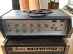 Faylon Studio 2 tube amp / buizenversterker met cabinet, Ophalen, Gebruikt, Gitaar