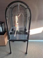 Papagaaien kooi in nieuwe staat, Dieren en Toebehoren, Ophalen