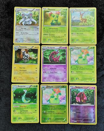 Black & White Pokemon Kaarten beschikbaar voor biedingen