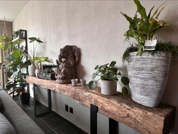 Oud eiken tv meubel bielzen salontafel oud hout sidetable  beschikbaar voor biedingen