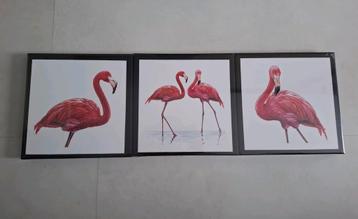3x canvas flamingo 25 x 25 cm - nieuw  beschikbaar voor biedingen