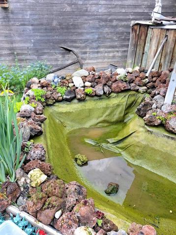 Lavastenen, Ophalen, Gebruikt, Plant(en), Steen of Hout