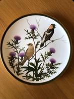 Franklin Audubon Songbirds of the World Wedgewood bord 1977, Comme neuf, Assiette ou Plat, Enlèvement ou Envoi, Porcelaine