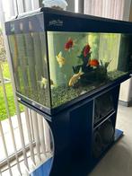 Aquarium + meuble Hobby fish avec lampe et pompe, Comme neuf, Aquarium vide