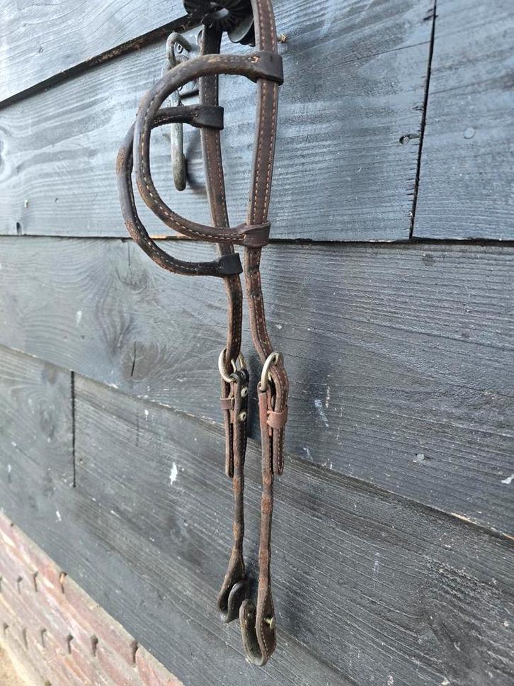 Western hoofdstellen, Dieren en Toebehoren, Paarden en Pony's | Hoofdstellen en Tuigage, Gebruikt, Western, Ophalen of Verzenden