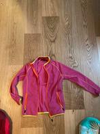 Polaire norvégien Jotunneim, âge 8 ans, Enlèvement, Comme neuf