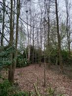 Gratis hout, Tuin en Terras, Brandhout, Ophalen