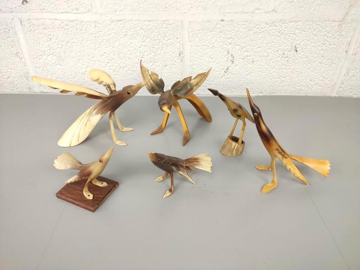 Verzameling vogels in hoorn, Verzamelen, Dierenverzamelingen, Zo goed als nieuw, Ophalen of Verzenden