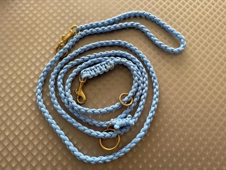 Leiband Oceaan, Dieren en Toebehoren, Honden-accessoires, Nieuw, Ophalen of Verzenden