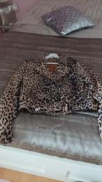 Veste été, Vêtements | Femmes, Enlèvement, Neuf, Taille 38/40 (M), Autres couleurs