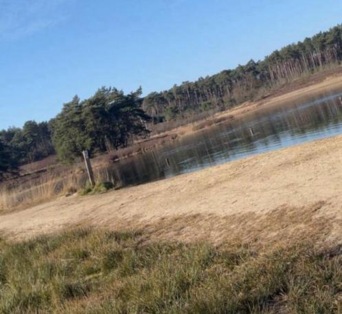 Gezocht: weide of huis voor huurkoop, Immo, Gronden en Bouwgronden