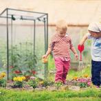 Tomatenkas met schuin dak SNELLE GRATIS LEVERING, Hobby en Vrije tijd, Verzenden, Nieuw