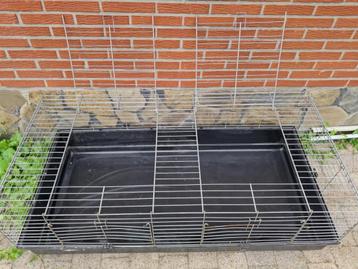 Extra grote kooi beschikbaar voor biedingen