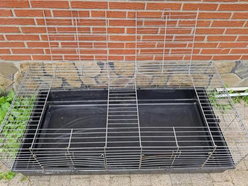 Extra grote kooi, Dieren en Toebehoren, Knaagdieren en Konijnen | Hokken en Kooien, Kooi, Ophalen