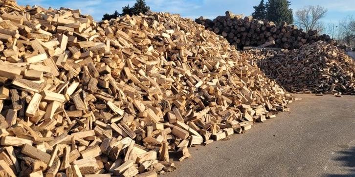 bois de chauffage, Jardin & Terrasse, Bois de chauffage, Bûches, Hêtre, 6 m³ ou plus, Envoi