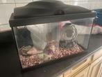 Aquarium met pomp en deco, Ophalen, Gebruikt, Leeg aquarium