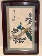 Kunstwerk van zeeschelpen - Pauw, Enlèvement