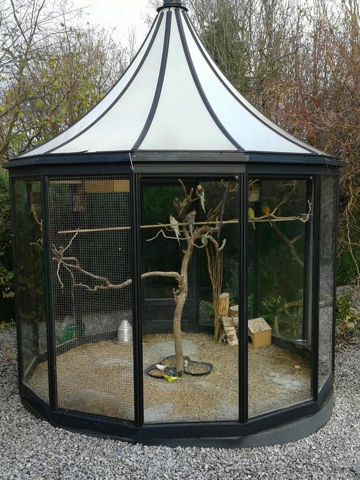 Glazen volière, Dieren en Toebehoren, Vogels | Toebehoren, Ophalen