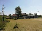 3 stallen en weidegang te huur Booischot, Dieren en Toebehoren, Weidegang