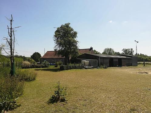 3 stallen en weidegang te huur Booischot, Dieren en Toebehoren, Stalling en Weidegang, Weidegang