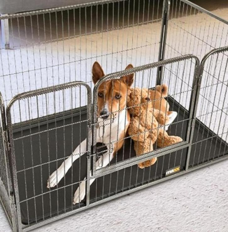 Box voor kleine tot middelgrote honden in zeer goede staat, Dieren en Toebehoren, Honden-accessoires, Zo goed als nieuw, Ophalen