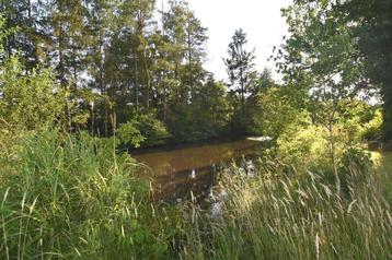 Grond te koop in Begijnendijk, Immo, Gronden en Bouwgronden, 1500 m² of meer