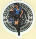 Harley Davidson Pin Up Girl sticker #2