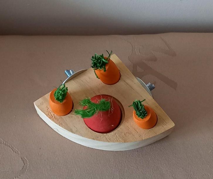 Knaagdier speeltje., Dieren en Toebehoren, Knaagdieren en Konijnen | Toebehoren, Gebruikt, Speelgoed, Ophalen