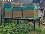 Steiger voor bijen kasten..niew..!!!, Animaux & Accessoires, Insectes & Araignées, Abeilles