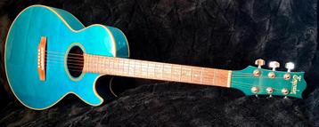 Guitare acoustique vintage (Emperador) beschikbaar voor biedingen