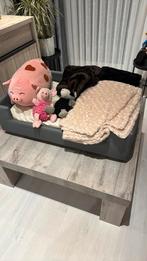 Hondenbed met dekens en knuffels, Enlèvement, Utilisé