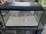 Aquarium 60cm x 30cm x 38cm, Dieren en Toebehoren, Ophalen, Zo goed als nieuw
