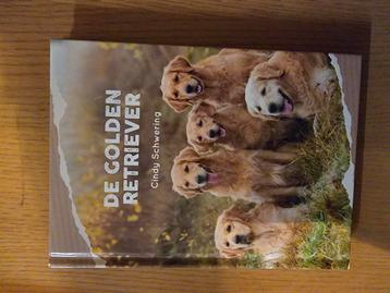 Cindy Schwering - De Golden Retriever beschikbaar voor biedingen