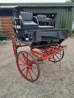 Koets  Wagonette 6+2 personen, Wagonette, Paard