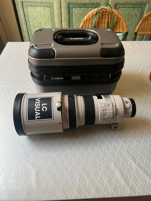 Canon ef 300 mm 2.8, Audio, Tv en Foto, Foto | Lenzen en Objectieven, Gebruikt, Standaardlens, Zoom, Ophalen of Verzenden
