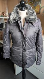 Veste d'hiver Peutery, Enlèvement ou Envoi, Comme neuf, Taille 36 (S)