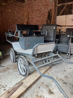 Men koets voor 4 personen, Gebruikt, Wagonette, Paard of Pony