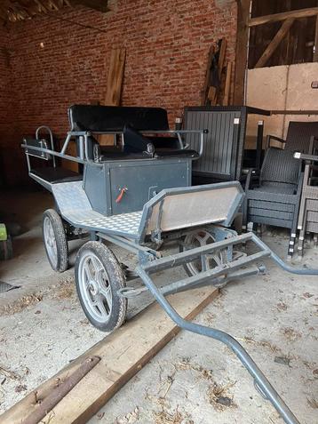 Men koets voor 4 personen, Utilisé, Wagonette, Cheval ou Poney
